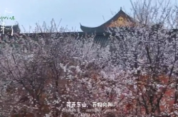 视频 | 零陵：花开东方 万物向阳