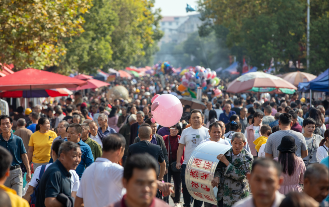 珠山九月九赶圩：重阳与市集的完美邂逅