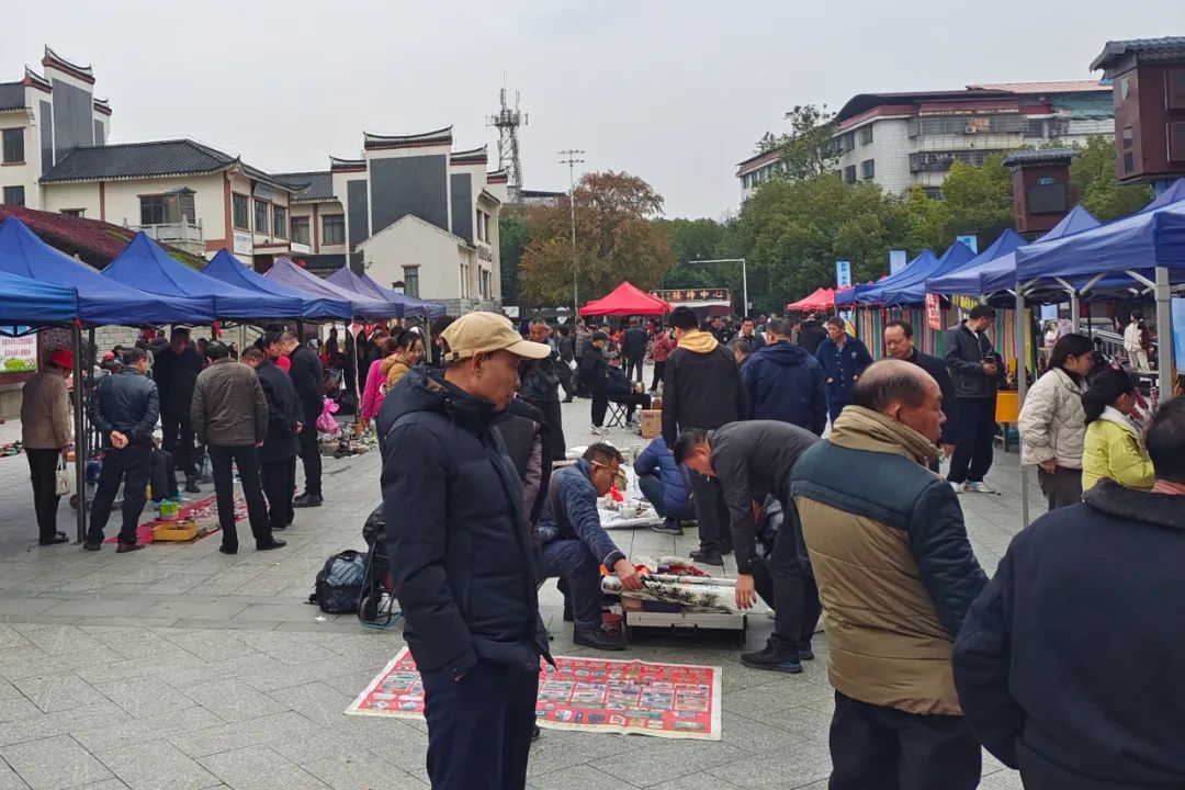 “绿天雅集”文房清供藏品交易会在零举行 古玩文创为文旅消费添活力