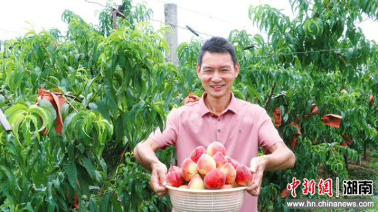 零陵：特色水果产业助农增收