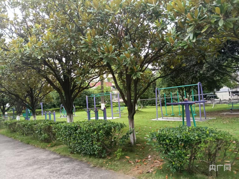零陵：移步皆风景，举目满眼绿