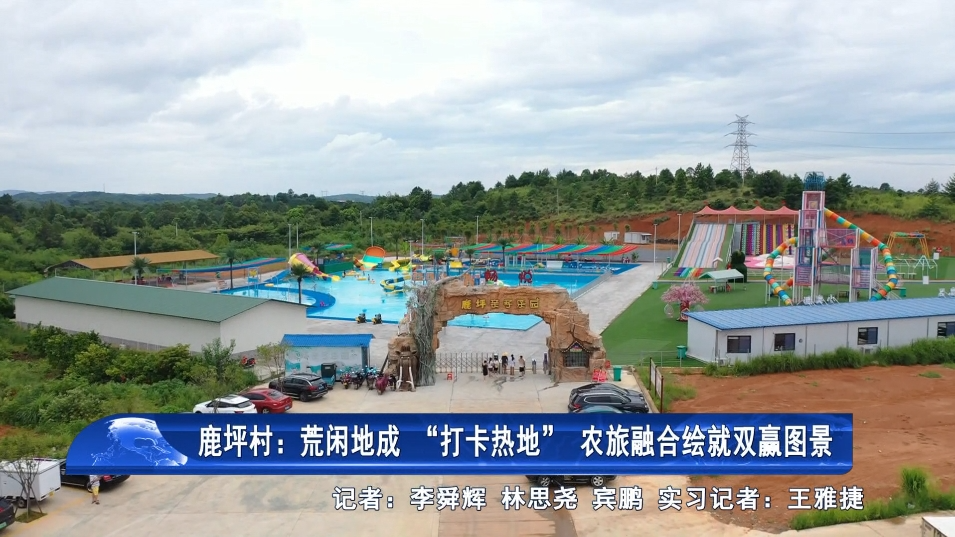零陵區(qū)鹿坪村荒閑地成 “打卡熱地”