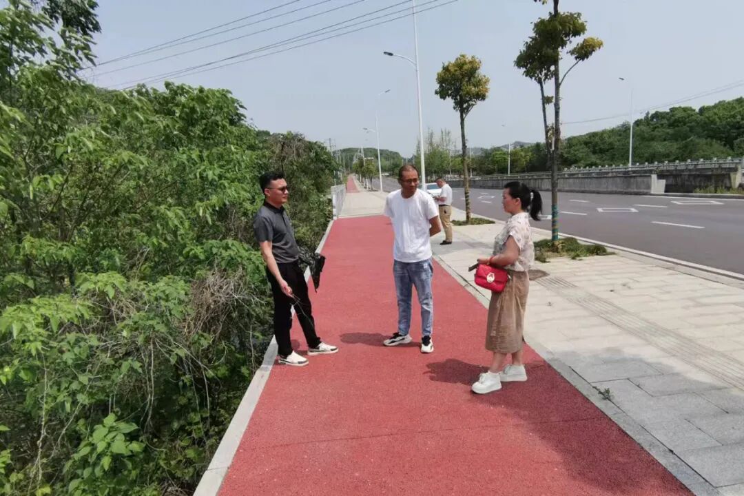 朝阳街道：监督“小切口”推动民生“大改善”