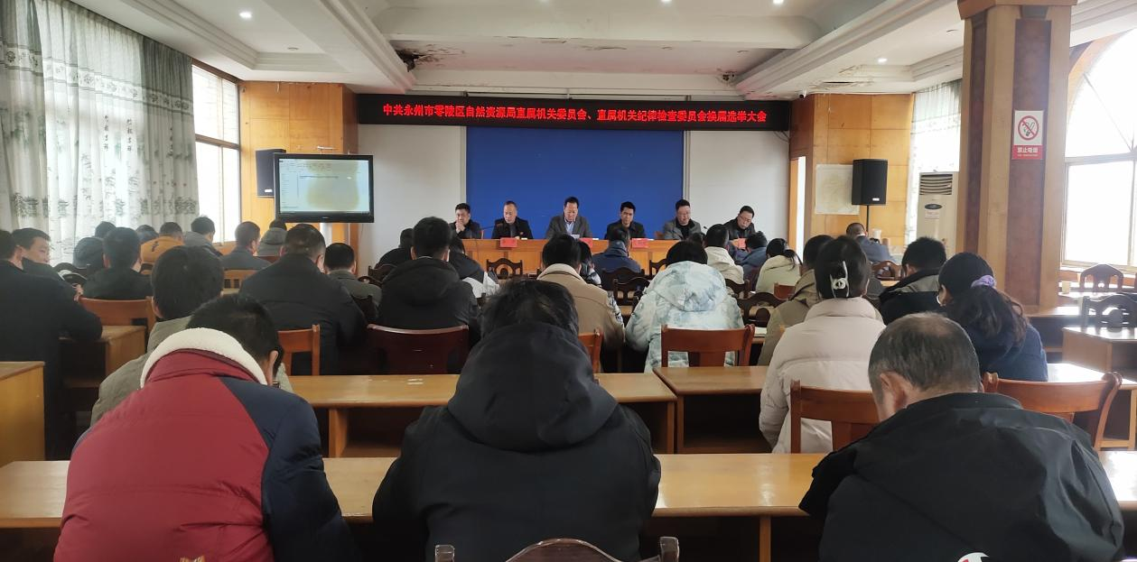 零陵区自然资源局完成机关党委、纪委换届选举