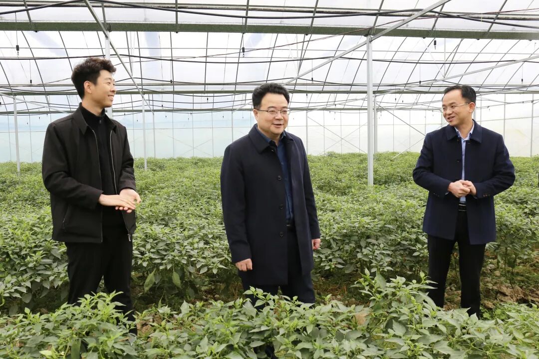 赵立平赴乡镇街道调研：强党建兴产业树新风 绘就乡村振兴新图景