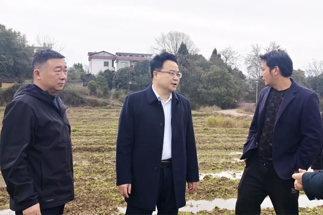 ​赵立平赴乡镇调研基层党建、产业发展及春耕生产等工作