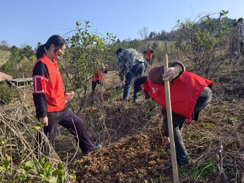 零陵区凼底乡： 鏖战春风正当时，凼底干群植绿忙