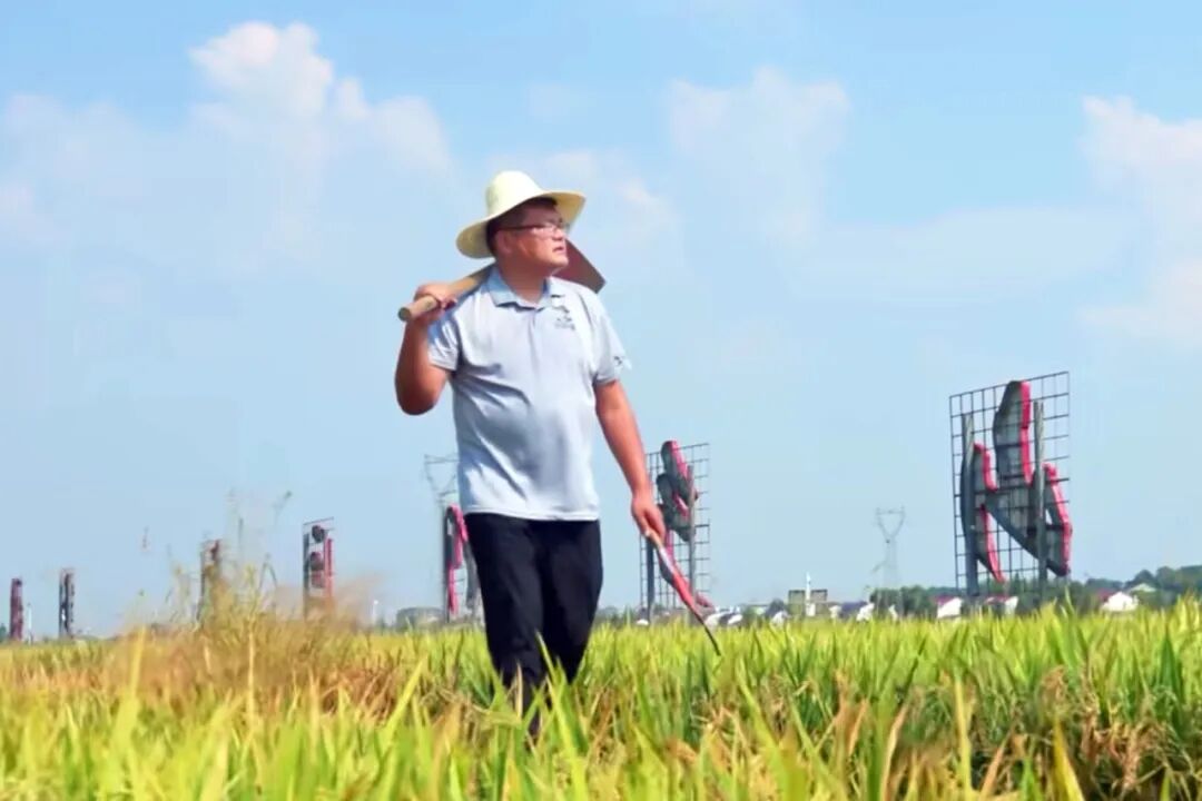 从“永冲锋”到“沃野梦”！江苏“90后”在零陵签下1400亩种粮大单