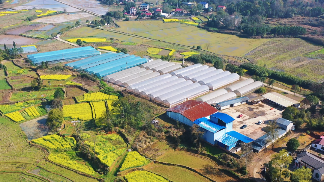 零陵：AI助力新农人跑出春耕“加速度”