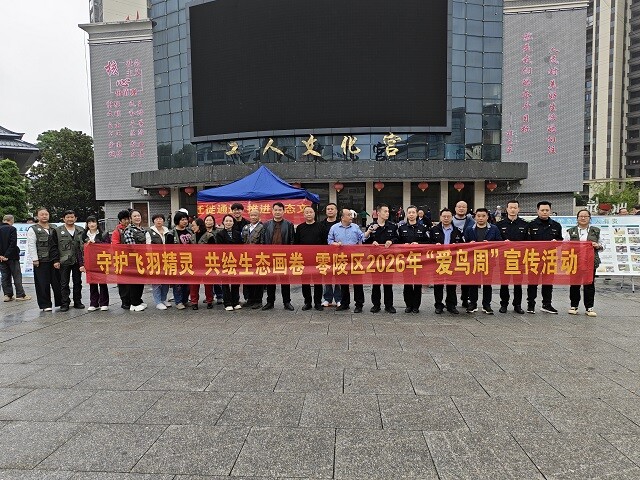 零陵区2026年 “爱鸟周” 宣传活动启幕 守护飞羽精灵共绘生态画卷