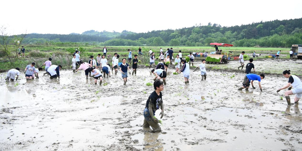 水口山镇：春耕沃野织锦绣 田间课堂育新人