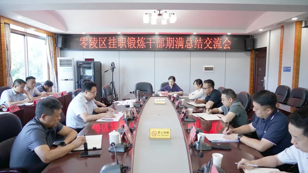 零陵区挂职锻炼干部期满总结交流会召开