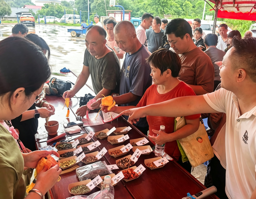 零陵区黄田铺镇：粽叶飘香传温情 多彩活动聚民心