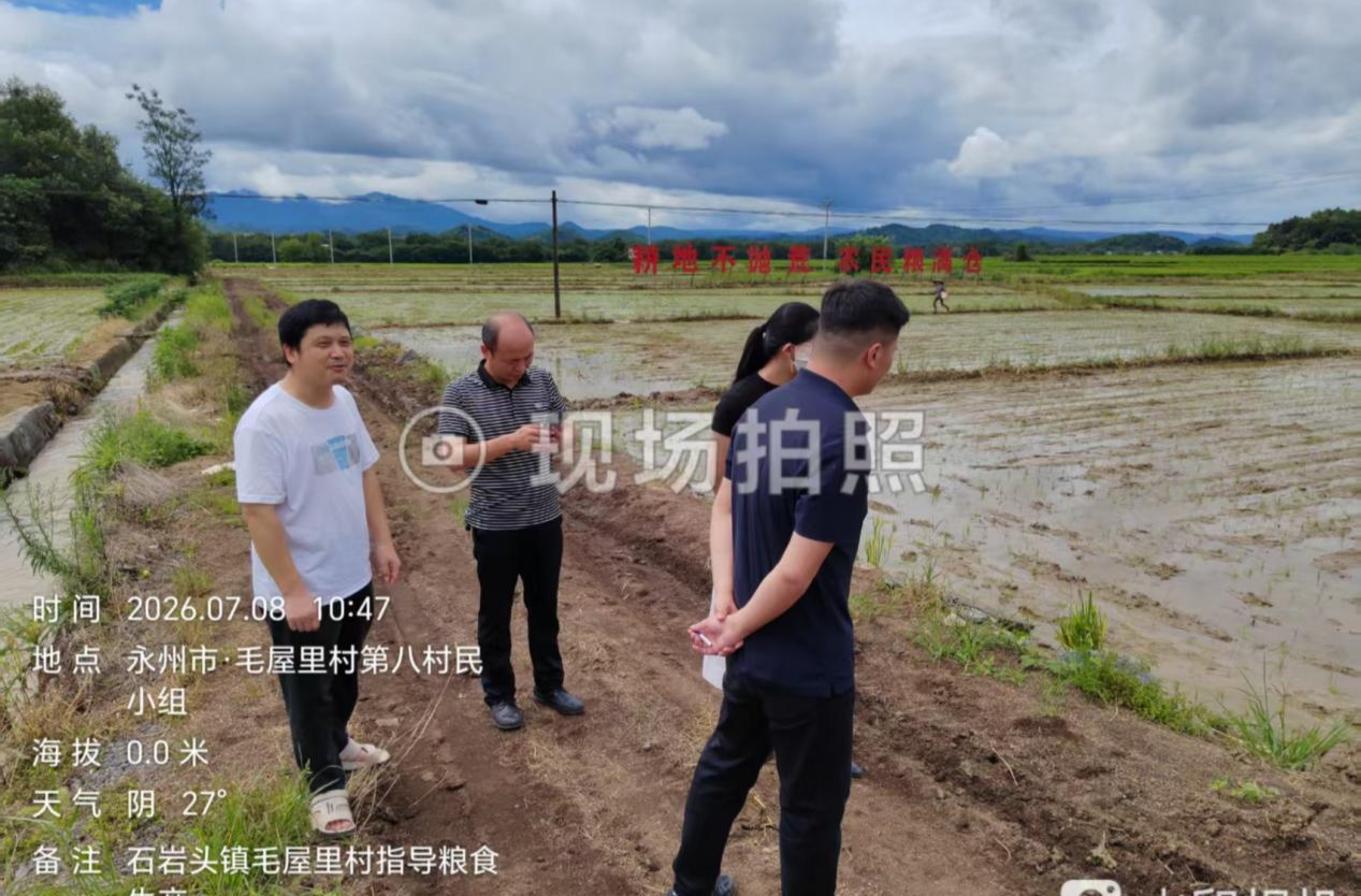 抢抓农时育晚稻 扩耕稳粮促增收