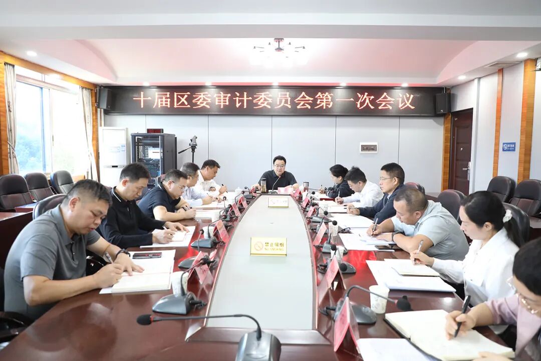 十届区委审计委员会第一次会议召开